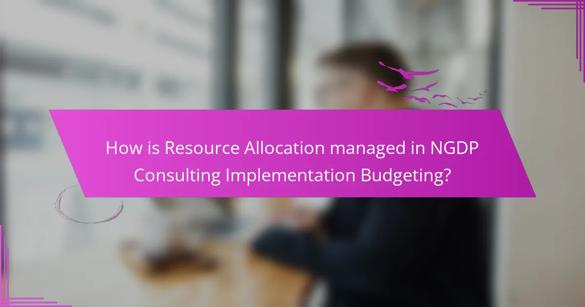 How is Resource Allocation managed in NGDP Consulting Implementation Budgeting?
