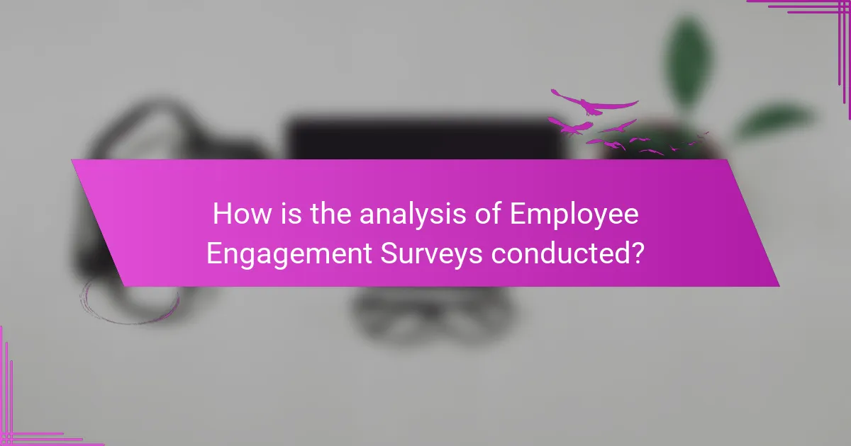 How is the analysis of Employee Engagement Surveys conducted?