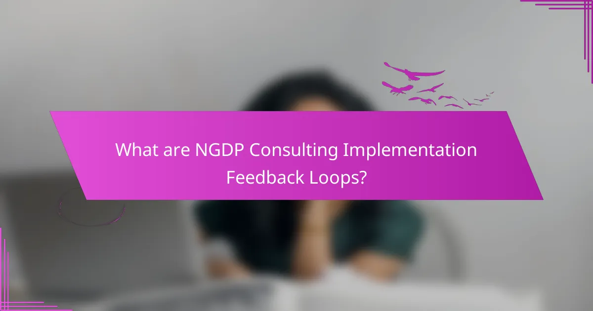 What are NGDP Consulting Implementation Feedback Loops?