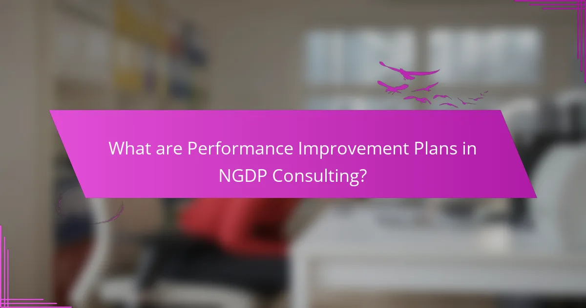 What are Performance Improvement Plans in NGDP Consulting?