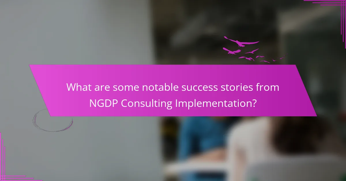 What are some notable success stories from NGDP Consulting Implementation?