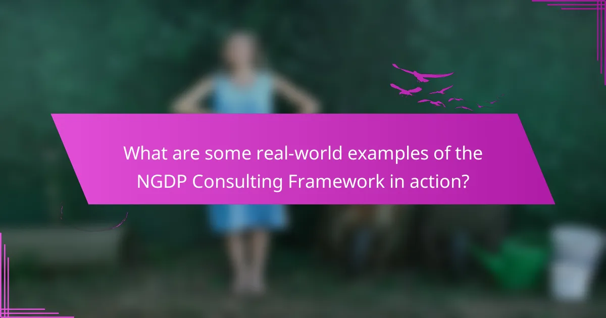 What are some real-world examples of the NGDP Consulting Framework in action?