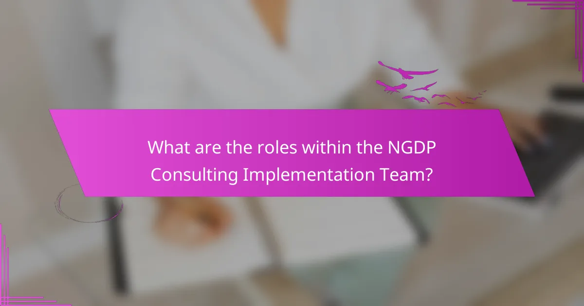 What are the roles within the NGDP Consulting Implementation Team?