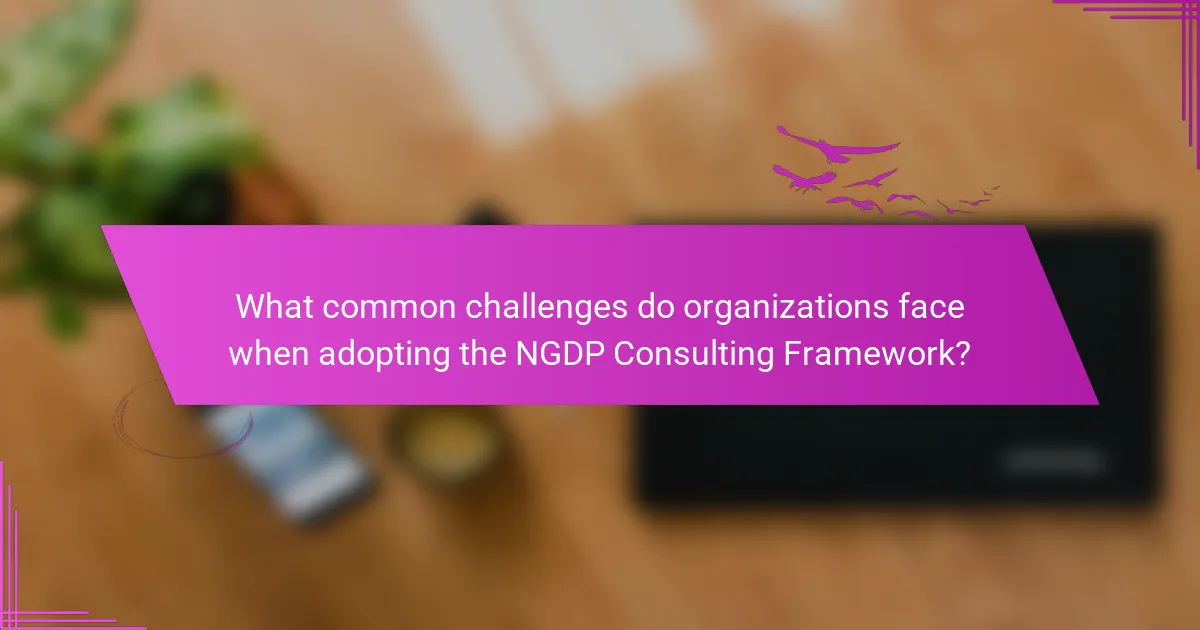 What common challenges do organizations face when adopting the NGDP Consulting Framework?