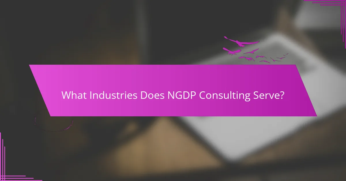 What Industries Does NGDP Consulting Serve?