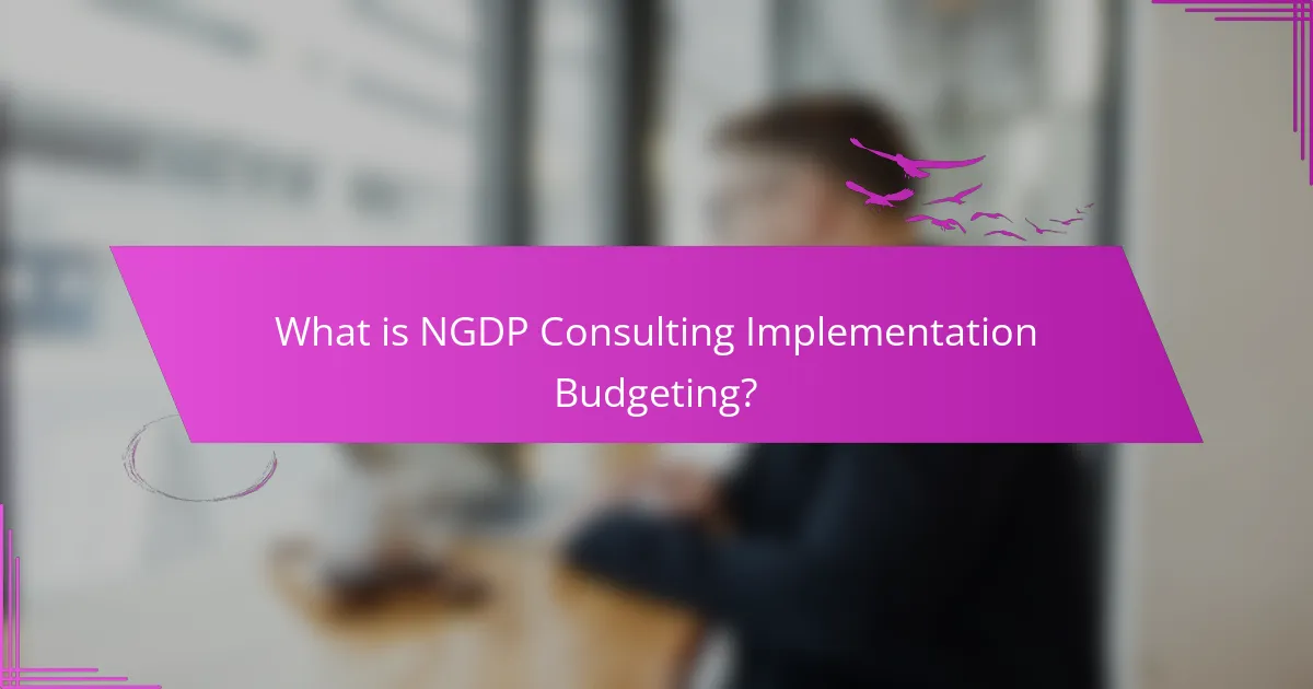What is NGDP Consulting Implementation Budgeting?