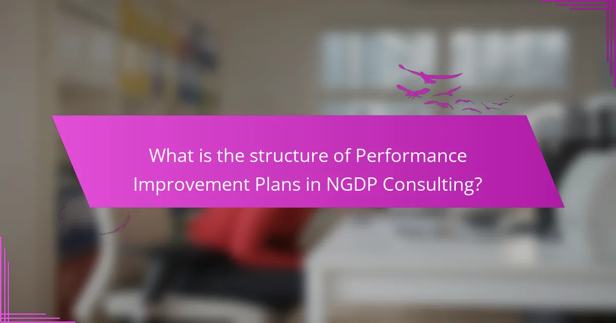 What is the structure of Performance Improvement Plans in NGDP Consulting?