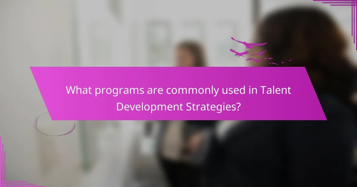What programs are commonly used in Talent Development Strategies?