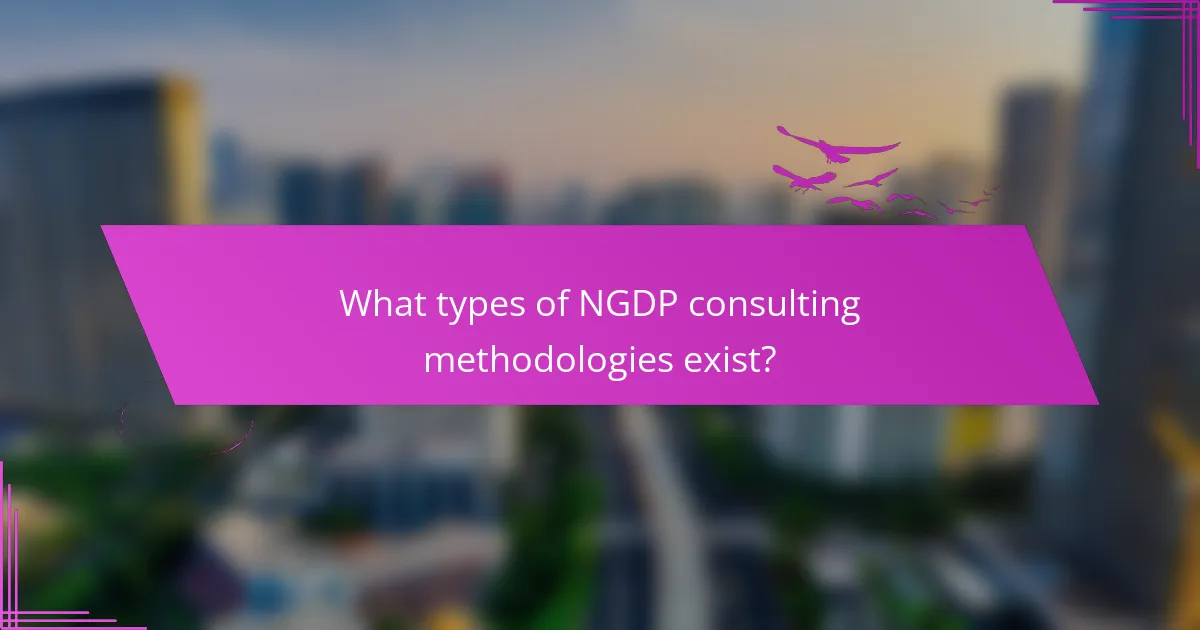 What types of NGDP consulting methodologies exist?